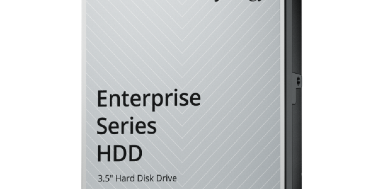 Blinkit-HDD SATA 35 de la serie Enterprise